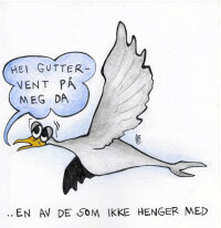 En sliten trekkfugl som sier "Hei gutter - vent på meg"