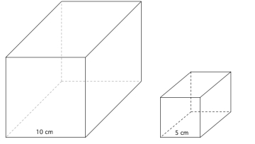 Den store terningen har side 10 cm og den lille har side 5 cm.