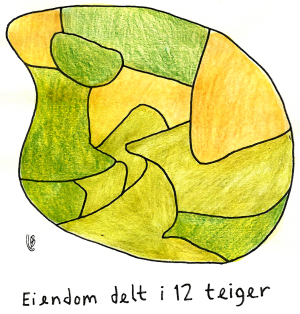 Jordstykke delt opp i 12 teiger.
