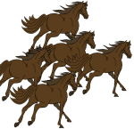 Raskeste hester