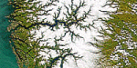 Elver