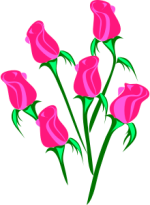 Rosa roser.